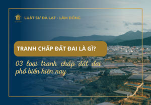 Tranh chấp đất đai là gì? 03 loại tranh chấp đất đai phổ biến