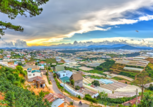 Hình ảnh mang tính chất minh họa