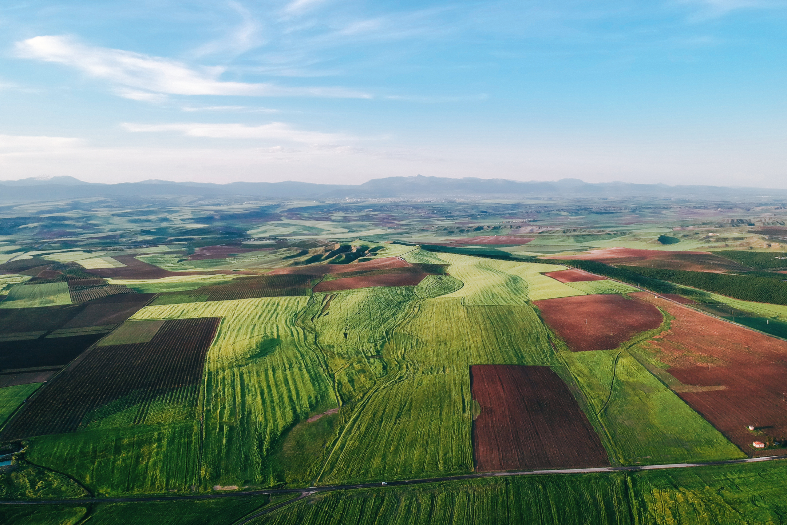 hình ảnh mang tính chất minh họa